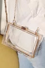 Load image into Gallery viewer, Purse Mardi Gras CLEAR  Chain Purse
