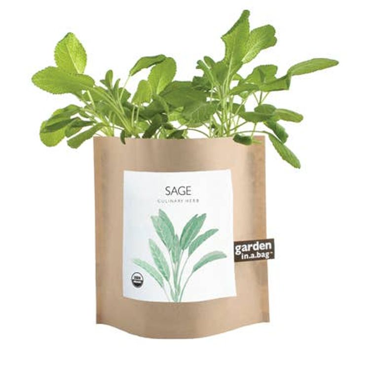 Garden in a Bag / Sage